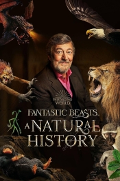 Fantastic Beasts: A Natural History  