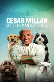 Cesar Millan: Better Human, Better Dog 